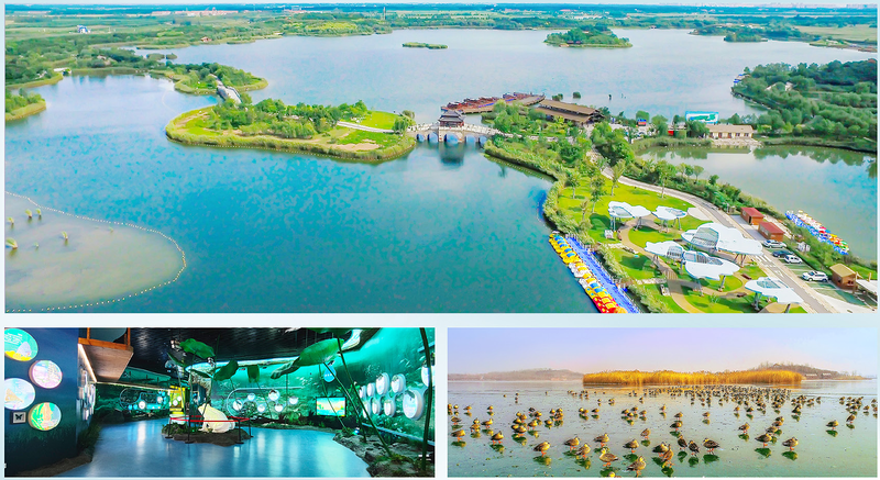 黄河自然课堂 2022山东黄河生态旅游体验季的景区开发新路径